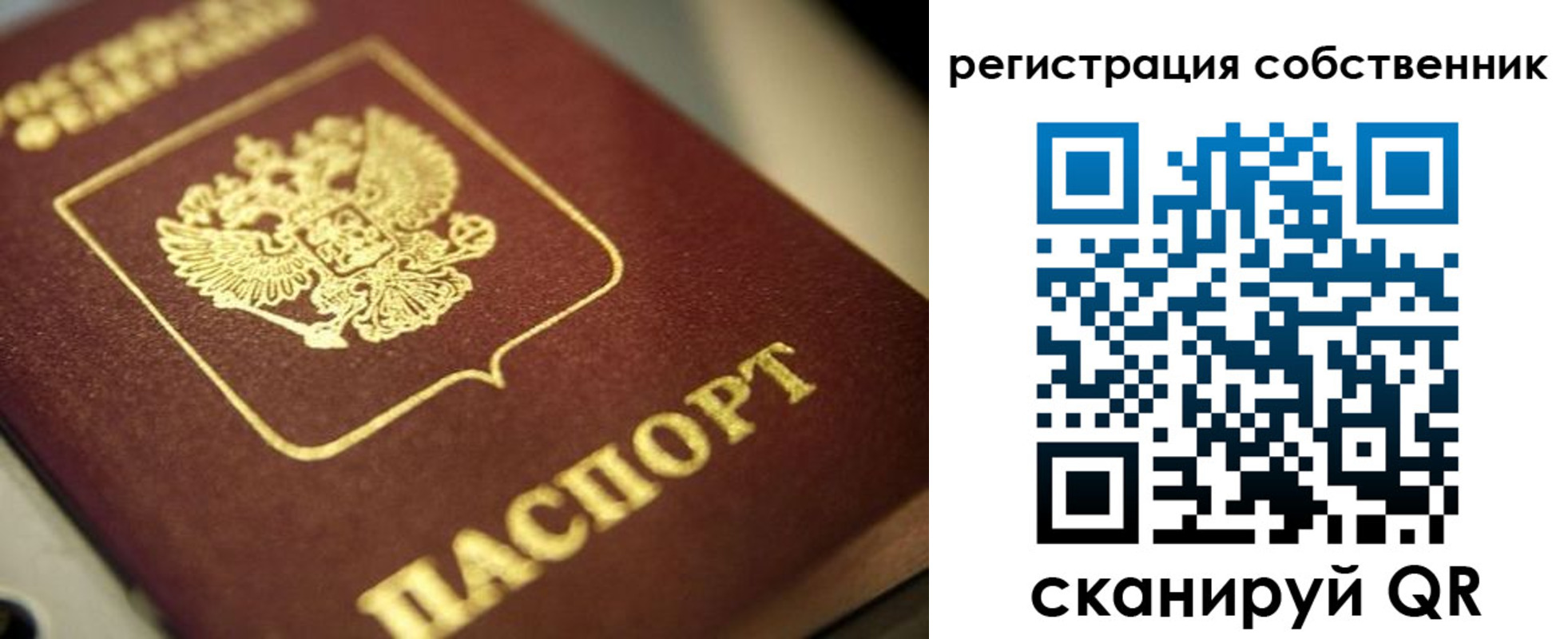 прописка в Сураже